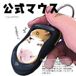 Rule 34 | ^^^, airon (ironboy1203), animal, eating, hamster, holding, mouse (computer), o o, original, partially translated, pet, pun, seed, simple background, tail, text focus, translation request, white background
