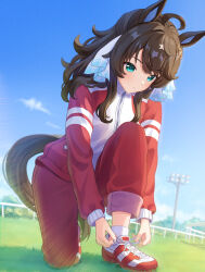Rule 34 | 1girl, ahoge, animal ears, aqua eyes, blue sky, blush, brown hair, closed mouth, daring tact (umamusume), day, full body, grass, hair ornament, highres, horse ears, horse girl, horse tail, jacket, kashmir 0808, lens flare, long hair, long sleeves, on one knee, outdoors, pants, ponytail, red footwear, red pants, shoes, sky, sneakers, socks, solo, star (symbol), star hair ornament, tail, track jacket, track pants, tying footwear, umamusume, white jacket, white socks