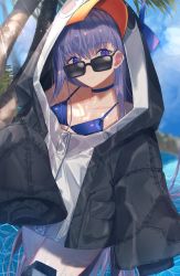 Rule 34 | 1girl, animal costume, bare shoulders, bikini, bikini top only, blue eyes, choker, collarbone, dasui191023, fate/grand order, fate (series), flat chest, hair ribbon, highres, hood, hood up, hoodie, meltryllis (fate), meltryllis (swimsuit lancer) (first ascension) (fate), oversized clothes, palm tree, penguin costume, purple hair, ribbon, sleeves past wrists, solo, sunglasses, swimsuit, tree, water