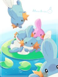 Rule 34 | alternate color, animal focus, artist name, blue skin, border, closed eyes, colored skin, commentary request, creatures (company), falling, game freak, gen 3 pokemon, hanabusaoekaki, highres, lily pad, mudkip, nintendo, no humans, open mouth, pokemon, pokemon (creature), shiny pokemon, solid oval eyes, tongue, tongue out, water, white border