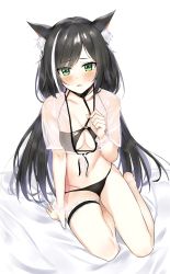 Rule 34 | 1girl, animal ear fluff, animal ears, bare legs, bed sheet, bikini, bikini under clothes, black bikini, black hair, blush, breasts, cat ears, cat girl, cleavage, collarbone, commentary request, fang, full body, green eyes, highres, karyl (princess connect!), kavies, long hair, looking at viewer, medium breasts, multicolored hair, navel, parted lips, princess connect!, see-through, short sleeves, simple background, sitting, skin fang, solo, streaked hair, swept bangs, swimsuit, thigh strap, very long hair, white background, white hair, yokozuwari