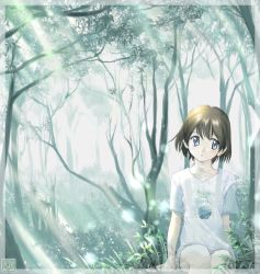 Rule 34 | 1girl, :o, blue eyes, brown hair, forest, grass, iuro, light rays, looking away, nature, original, outdoors, scenery, short hair, sitting, solo, sparkle, sunbeam, sunlight, transparent, tree