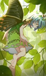 Rule 34 | 1girl, alternate eye color, antennae, aqua eyes, aqua hair, artistic error, barefoot, butterfly wings, crossed legs, dress, eternity larva, fairy, full body, green dress, hair between eyes, highres, insect wings, leaf, leaf on head, multicolored clothes, multicolored dress, protected link, satomachi, short hair, single strap, soles, solo, third-party source, toes, touhou, wings, wrong foot