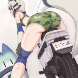 Rule 34 | 10s, 1girl, african wild dog (kemono friends), animal ears, arm support, ass, ass focus, back, bare shoulders, black hair, bra, camouflage, camouflage bra, camouflage panties, closed mouth, dog ears, dog tail, elbow pads, extra ears, foreshortening, from behind, gloves, grey eyes, grey hair, hand on own knee, honda motocompo, impossible clothes, kemono friends, knee pads, kneepits, leaning forward, license plate, lips, looking at viewer, looking back, lucky beast (kemono friends), motor vehicle, motorcycle, multicolored hair, on vehicle, panties, short hair, shoulder blades, sidelocks, sideways glance, skin tight, smile, sports bra, standing, t jiroo (ringofriend), tail, twisted torso, two-tone hair, underwear, underwear only, vehicle, | |