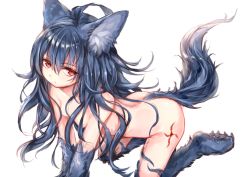 Rule 34 | 1girl, ahoge, all fours, animal ear fluff, animal ears, animal hands, bent over, blue hair, breasts, claws, closed mouth, commentary request, fenrir (shingeki no bahamut), fur, granblue fantasy, hair between eyes, hair over breasts, highres, long hair, looking at viewer, nude, red eyes, shingeki no bahamut, sidelocks, simple background, sketch, slit pupils, small breasts, solo, sukemyon, tail, tattoo, very long hair, white background, wolf ears, wolf tail