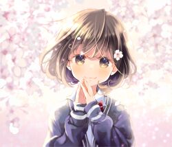 Rule 34 | 1girl, bob cut, bow, bowtie, brown eyes, brown hair, cherry blossoms, closed mouth, collared shirt, commentary request, flower, hair flower, hair ornament, hands up, jacket, kuga tsukasa, long sleeves, looking at viewer, medium hair, original, own hands together, purple jacket, red bow, red bowtie, school uniform, shirt, smile, solo, upper body, white flower, white shirt, wing collar