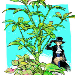 Rule 34 | 1boy, ascot, black coat, black gloves, black hat, blonde hair, blue background, blue shirt, border, closed eyes, coat, facing viewer, gloves, goggles, goggles on headwear, grin, hat, holding, holding map, itowo (itowc), male focus, map, one piece, plant, sabo (one piece), shirt, simple background, smile, solo, white ascot, white border