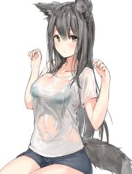 Rule 34 | 1girl, animal ear fluff, animal ears, black bra, black shorts, blush, bra, bra visible through clothes, breasts, brown eyes, closed mouth, collarbone, commentary request, grey hair, hair between eyes, hands up, highres, hinako (anzu15), long hair, looking at viewer, medium breasts, original, see-through, shirt, short shorts, short sleeves, shorts, simple background, sitting, solo, tail, underwear, very long hair, wet, wet clothes, wet shirt, white background, white shirt, wolf ears, wolf tail
