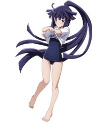 Rule 34 | 1girl, akatsuki (log horizon), barefoot, blue one-piece swimsuit, blush, character name, clothes lift, covered navel, embarrassed, feet, floating hair, full body, high ponytail, log horizon, long hair, looking at viewer, official art, one-piece swimsuit, purple eyes, purple hair, school swimsuit, shirt lift, short sleeves, solo, swimsuit, transparent background, very long hair