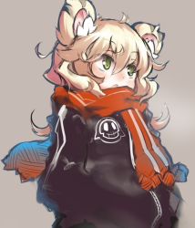 Rule 34 | 1girl, animal ears, blonde hair, blush, blush stickers, curly hair, fang, green eyes, grey background, hands in pockets, jacket, nose blush, open mouth, original, scarf, simple background, solo, tiger ears, tomcat (moconeko), toramimi-senpai, winter clothes