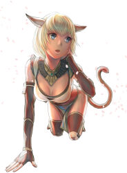 Rule 34 | 1girl, 2022, all fours, animal ears, artist name, adventurer (ff11), blonde hair, blue eyes, breasts, brown gloves, brown tail, cactus41747280, cat ears, cat girl, cat tail, cherry blossoms, cleavage, dated, elbow gloves, final fantasy, final fantasy xi, fingerless gloves, fingernails, gloves, hand in own hair, hand up, highres, loincloth, looking to the side, medium breasts, mithra (ff11), open mouth, petals, short hair, simple background, solo, tail, teeth, toeless legwear, upper teeth only, white background