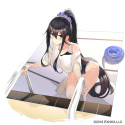 Rule 34 | 1girl, absurdly long hair, black hair, blue eyes, blush, breasts, broom, commentary request, competition swimsuit, dreamlight2000, gemini seed, hair ornament, hair scrunchie, hose, large breasts, long hair, looking at viewer, official art, one-piece swimsuit, ponytail, pool, pool ladder, scrunchie, shirt, simple background, solo, swimsuit, tachi-e, very long hair, white background, white shirt