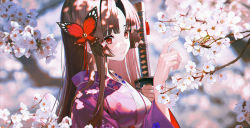 Rule 34 | 1girl, blurry, blurry background, breasts, brown hair, butterfly hair ornament, closed mouth, copyright request, floral print, flower request, hair ornament, hands up, highres, holding, holding sword, holding weapon, japanese clothes, katana, kimono, kinty, long hair, long sleeves, medium breasts, multicolored clothes, multicolored kimono, parted bangs, pink kimono, red eyes, solo, sword, weapon