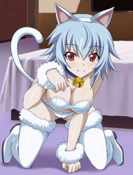Rule 34 | 10s, 1girl, all fours, animal ears, bed, bell, blue hair, boots, bra, breasts, cat ears, cat tail, cleavage, collar, eyebrows, fake animal ears, hairband, indoors, infinite stratos, looking at viewer, lowres, neck bell, outdoors, panties, paw pose, red eyes, sarashiki tatenashi, short hair, smile, solo, strapless, strapless bra, tail, thigh boots, thighhighs, underwear, white bra, white footwear, white hairband, white panties