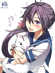 Rule 34 | 10s, 1girl, akebono (kancolle), animal, animal ears, bell, blue eyes, blush, cat, cat ears, character name, collared shirt, flower, hair bell, hair flower, hair ornament, highres, hug, jingle bell, kantai collection, long hair, looking at viewer, open mouth, purple eyes, purple hair, school uniform, serafuku, shirt, side ponytail, simple background, solo, super zombie, sweat, tail, translation request, twitter username, very long hair, white background, white cat