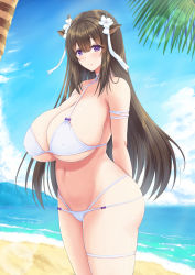 Rule 34 | 1girl, animal ears, arms behind back, azur lane, bare shoulders, beach, belly, bikini, blush, breasts, brown hair, cleavage, closed mouth, covered erect nipples, cow ears, cow girl, cow horns, flower, hair flower, hair ornament, halterneck, highres, horns, huge breasts, kashino (azur lane), kashino (hot springs relaxation) (azur lane), long hair, looking at viewer, navel, outdoors, purple eyes, smile, solo, standing, swimsuit, thigh strap, tono munekage, twitter username, very long hair, white bikini, white flower