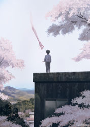 Rule 34 | 1other, ambiguous gender, cherry blossoms, day, from behind, grey shirt, house, long arms, long sleeves, monokubo, original, outdoors, pants, scenery, shirt, short hair, standing, tree, twitter username