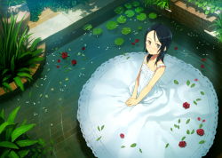 Rule 34 | 1girl, bare shoulders, black hair, blush, brick, dress, empire waist, female focus, flat chest, flower, from above, garden, grey eyes, hands on lap, highres, leaf, lily pad, long hair, looking at viewer, looking up, original, parted bangs, petals, plant, pond, ripples, rose, scenery, sitting, solo, water, white dress, yoshida seiji