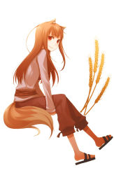 Rule 34 | 1girl, animal ears, ayakura juu, brown hair, holo, long hair, looking at viewer, red eyes, simple background, sitting, smile, solo, spice and wolf, tail, wheat, white background, wolf ears, wolf tail