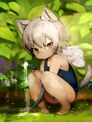 Rule 34 | 1boy, :&gt;, animal ears, bad id, bad pixiv id, barefoot, brown eyes, cat boy, cat ears, cat tail, crossdressing, fang, full body, grey hair, highres, hose, looking at viewer, male focus, one-piece swimsuit, original, school swimsuit, shirokujira, solo, squatting, swimsuit, tail