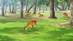Rule 34 | animal focus, day, deer, fence, film grain, game cg, grass, grazing (livestock), izumi tsubasu, no humans, non-web source, official art, outdoors, re:stage!, scenery, tree