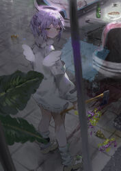 Rule 34 | 1girl, absurdres, angel wings, axe, benikusochan, blush, bottle, expressionless, from behind, glowing, halo, highres, holding, holding axe, jacket, leaf, looking at viewer, looking back, medium hair, muted color, original, plant, purple hair, shoes, solo, tile floor, tiles, white jacket, wings
