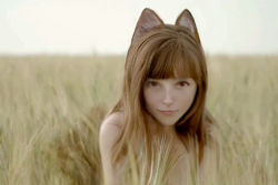 Rule 34 | :3, animal ears, cosplay, field, holo, holo (cosplay), long hair, outdoors, photo (medium), red eyes, spice and wolf, tail, tawny hair, third-party edit, uncanny valley, wolf ears