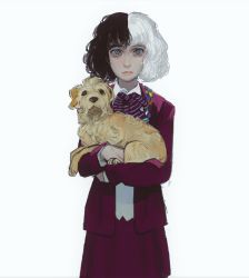 Rule 34 | 101 dalmatians, 1girl, animal, ascot, blue eyes, child, closed mouth, crudelia (movie), crudelia demon, dog, highres, holding, holding animal, holding dog, jacket, long sleeves, looking at viewer, medium hair, mossacannibalis, multicolored hair, purple ascot, purple jacket, purple skirt, simple background, skirt, solo, split-color hair, striped ascot, two-tone hair, white background