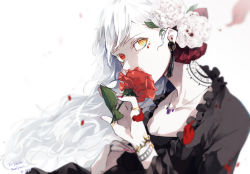 Rule 34 | 1girl, black dress, blurry, bracelet, collarbone, commentary request, commission, dress, earrings, english text, falling petals, flower, flower to mouth, frilled dress, frills, hair flower, hair ornament, hair ribbon, hands up, heterochromia, highres, holding, holding flower, jewelry, leaf, long hair, looking at viewer, nail polish, necklace, original, petals, pink nails, pixiv commission, red eyes, red flower, red ribbon, red rose, ribbon, ring, rose, simple background, solo, tattoo, thank you, white background, white flower, white hair, white rose, yagi (shiro yagi), yellow eyes
