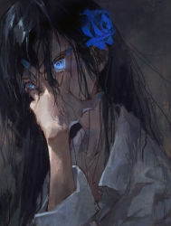 Rule 34 | 1girl, ado (utaite), black background, black hair, blue eyes, blue flower, blue nails, blue rose, chando (ado), collarbone, collared shirt, covered mouth, dino (dinoartforame), flower, glowing, glowing eyes, hair flower, hair ornament, hand on own face, head tilt, highres, long hair, looking at viewer, nail polish, real life, rose, shirt, solo, utaite, white shirt