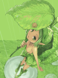 Rule 34 | 1girl, fairy, from above, green eyes, green hair, green theme, leaf, leaf umbrella, lettuce, looking up, matching hair/eyes, mini person, minigirl, monster girl, original, plant girl, pointy ears, puddle, rain, snail, solo, toro (konirio)