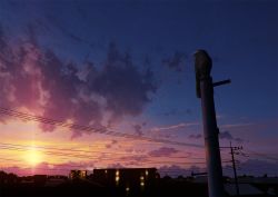 Rule 34 | bird, blue sky, city, cloud, commentary request, crow, lens flare, mocha (cotton), no humans, original, outdoors, power lines, scenery, sky, sunset, utility pole