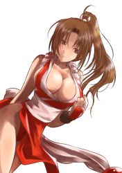 Rule 34 | 1girl, breasts, brown eyes, brown hair, cleavage, fatal fury, female focus, japanese clothes, kagehi no loo, large breasts, long hair, panties, pelvic curtain, ponytail, red panties, rope, shimenawa, shiranui mai, simple background, narrow waist, solo, the king of fighters, underwear