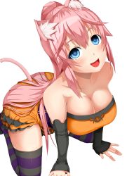 Rule 34 | 1girl, all fours, animal ears, ayase tamaki, black gloves, blue eyes, breasts, cat ears, cat tail, cleavage, dress, elbow gloves, gloves, highres, kneeling, long hair, looking at viewer, open mouth, orange dress, orange skirt, original, pink hair, ponytail, simple background, skirt, smile, solo, striped clothes, striped thighhighs, tail, thighhighs, white background, zettai ryouiki