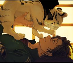 Rule 34 | 10s, 1boy, aqua eyes, bayashiko, brown eyes, brown hair, gokotai&#039;s tigers, indoors, letterboxed, lying, male focus, on back, otegine, parted lips, short hair, solo, tiger, tiger cub, touken ranbu, translation request, white tiger