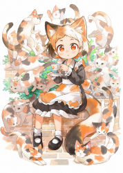 Rule 34 | 1girl, :o, ahoge, animal ear fluff, animal ears, apron, black cat, black dress, black footwear, black hair, brick wall, bush, calico, cat, cat ears, commentary, cup, dot nose, dress, garun wattanawessako, highres, holding, holding cup, long sleeves, looking at viewer, maid, mary janes, multicolored hair, multiple cats, orange apron, orange cat, orange eyes, orange hair, original, parted lips, saucer, shoes, sitting, sitting on wall, socks, solo, tail, teacup, white apron, white cat, white hair, white socks