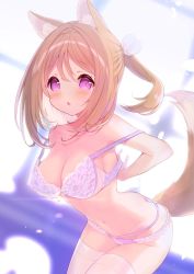 Rule 34 | 1girl, animal ear fluff, animal ears, ass, bare shoulders, blurry, blurry background, blush, bra, breasts, brown hair, butt crack, character request, chestnut mouth, cleavage, collarbone, depth of field, hair between eyes, hair ribbon, highres, large breasts, leaning forward, looking at viewer, mofu-mofu after school, mofumofu channel, navel, p19, panties, parted lips, ponytail, purple bra, purple panties, ribbon, sidelocks, solo, tail, thighhighs, underwear, undressing, white ribbon, white thighhighs