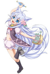Rule 34 | 1girl, :3, :d, ahoge, animal ear fluff, animal ears, arm up, basket, black footwear, black shirt, bloomers, blue eyes, blush, boots, bow, bow bloomers, cheat kusushi no slow life, commentary, fang, flower, from behind, full body, grey hair, hair flower, hair ornament, highres, holding, holding basket, leg up, long hair, looking back, navel, noela (cheat kusushi no slow life), open mouth, pink flower, shirosame, shirt, smile, solo, standing, standing on one leg, tail, underwear, very long hair, white background, white bloomers, white shirt, wolf ears, wolf girl, wolf tail