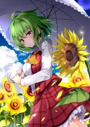 Rule 34 | 1girl, ahoge, ascot, bad id, bad twitter id, blue sky, blush, breasts, cloud, commentary request, cowboy shot, day, field, flower, flower field, green hair, hair between eyes, head tilt, highres, holding, holding umbrella, hyurasan, kazami yuuka, large breasts, looking at viewer, outdoors, parted lips, petticoat, plaid, plaid skirt, plaid vest, red eyes, red skirt, red vest, shirt, short hair, skirt, skirt set, sky, solo, standing, sunflower, sunflower field, touhou, umbrella, vest, white shirt, wing collar, yellow ascot
