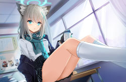 Rule 34 | 1girl, animal ears, ass, black gloves, black jacket, black skirt, blazer, blue archive, breast pocket, breasts, bright pupils, classroom, ebi bento, fox ears, fringe trim, gloves, grey hair, hair ornament, halo, high-waist skirt, highres, holding, indoors, jacket, kneehighs, legs up, long hair, long sleeves, looking at viewer, milk carton, miniskirt, off shoulder, open clothes, open jacket, parted lips, plaid, plaid skirt, pleated skirt, pocket, scarf, school uniform, shiroko (blue archive), shirt, shirt tucked in, skirt, small breasts, socks, solo, thighs, white shirt, white socks