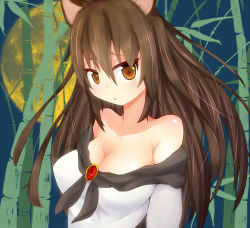 Rule 34 | 1girl, animal ears, bamboo, bamboo forest, blush, breasts, brooch, brown hair, cleavage, collarbone, dress, female focus, forest, full moon, imaizumi kagerou, jewelry, large breasts, long hair, looking at viewer, moon, nature, open mouth, orange eyes, sansai (age3joe), solo, touhou, wide sleeves, wolf ears