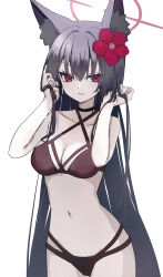 Rule 34 | 1girl, absurdres, alternate costume, animal ear fluff, animal ears, bare shoulders, bikini, black bikini, black hair, black halo, blue archive, breasts, cleavage, commentary request, cowboy shot, fox ears, fox girl, halo, highres, inaba reito, long hair, looking at viewer, medium breasts, navel, red eyes, simple background, solo, swimsuit, white background, yukino (blue archive)