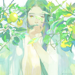 Rule 34 | 1girl, blurry, braid, branch, covered mouth, curtains, day, depth of field, dress, eyelashes, food, fruit, green hair, green theme, hair over mouth, hand up, highres, holding, holding hair, korean commentary, lemon, long hair, looking at viewer, original, plant, side braid, single braid, solo, twitter username, upper body, white background, yellow eyes, yokan (cxsp4773)