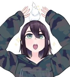 Rule 34 | 1girl, arms up, bird, brown hair, camouflage, camouflage hoodie, green eyes, hair between eyes, hands up, hood, hoodie, long sleeves, medium hair, open mouth, original, parrot, simple background, solo, sparkle, teeth, upper body, upper teeth only, white background, yoako