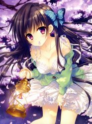 Rule 34 | 1girl, absurdres, breasts, brown hair, butterfly hair ornament, candle lantern, cherry blossoms, cleavage, dress, dress tug, hair ornament, highres, huge filesize, lantern, long hair, mouth hold, off shoulder, purple eyes, scan, smile, solo, tatekawa mako, twintails, very long hair, white dress