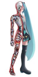 Rule 34 | 1girl, android, aqua eyes, aqua hair, arms at sides, boots, commentary request, cross-section, detached sleeves, full body, greyscale, hatsune miku, highres, lineart, long hair, looking at viewer, mechanical arms, mechanical hands, mechanical legs, mechanical parts, monochrome, necktie, pleated skirt, robot, see-through, simple background, single mechanical arm, single mechanical hand, single mechanical leg, single thigh boot, skirt, skull, solo, standing, sukabu, thigh boots, thighhighs, twintails, very long hair, vest, vocaloid, white background, x-ray