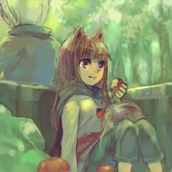Rule 34 | 00s, 1boy, 1girl, ame yamori, animal ears, apple, back-to-back, craft lawrence, eating, food, fruit, holo, lowres, oekaki, sitting, smile, spice and wolf, tail, wolf ears, wolf tail