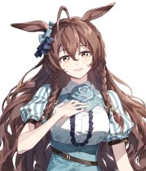 Rule 34 | 1girl, ahoge, animal ears, bad id, bad twitter id, braid, breasts, brown hair, center frills, collared dress, dimseomjang-gun, dress, frills, green dress, hand on own chest, highres, horse ears, korean commentary, long hair, looking at viewer, medium breasts, mejiro bright (umamusume), open mouth, puffy short sleeves, puffy sleeves, short sleeves, simple background, smile, solo, twin braids, umamusume, upper body, white background, yellow eyes