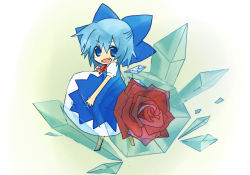 Rule 34 | 1girl, blue hair, bow, cirno, crystal, fang, female focus, flower, hisashi shin, ice, phantasmagoria of flower view, red flower, red rose, ribbon, rose, short hair, solo, touhou, wings
