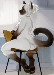 Rule 34 | 1girl, animal ears, animal feet, animal nose, anus, anus peek, ass, back, backlighting, barefoot, blue eyes, body fur, breasts, brown fur, cat ears, cat girl, cat tail, chair, closed mouth, completely nude, curtains, day, female focus, from behind, full body, furry, furry female, hair bun, half-closed eyes, happy, highres, indoors, jewelry, kikurage (crayon arts), large breasts, legs, looking at viewer, looking back, necklace, nipples, nude, on chair, original, pawpads, short hair, sidelocks, single hair bun, sitting, sitting backwards, smile, solo, tail, thighs, toes, two-tone fur, white fur, white hair